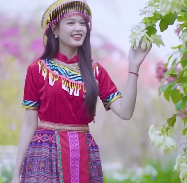 lĩnh vực hoạt động